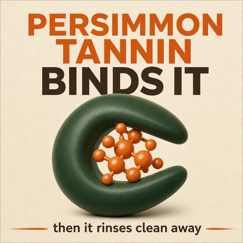 persimmon tannin binds it