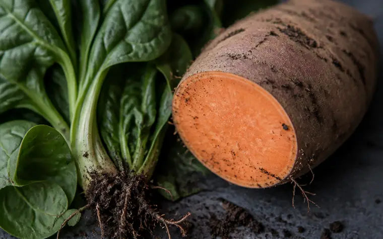 Fresh spinach and a halved sweet potato with a faint gray tint at the roots