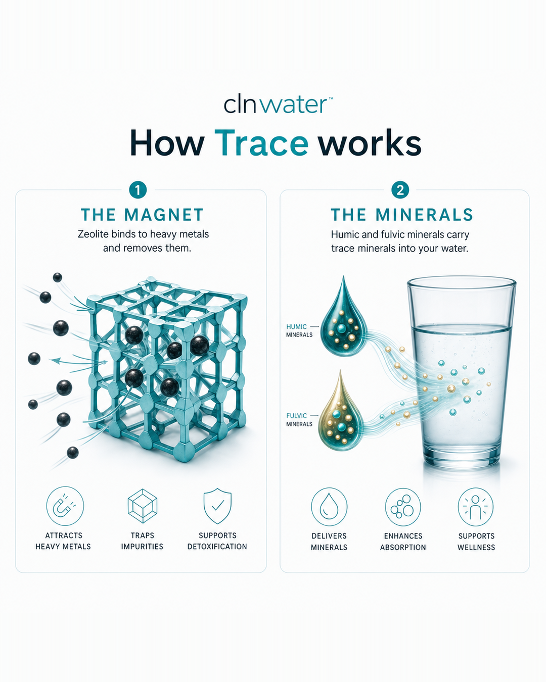 How Trace works: the magnet and the minerals