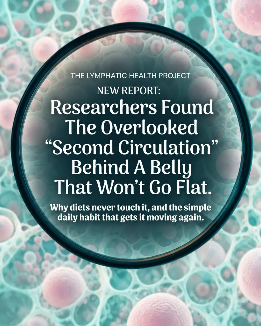 New report cover: the overlooked second circulation behind a belly that won't go flat